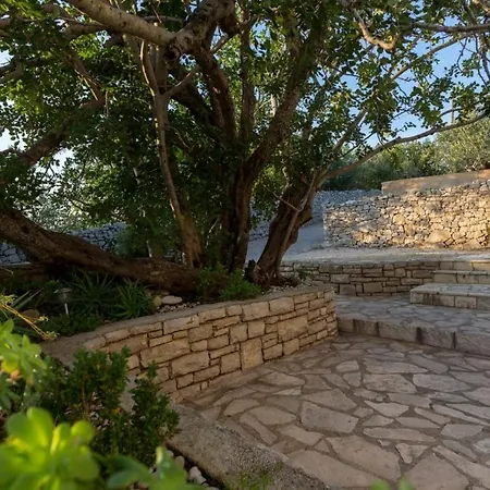 Petra - 50 M From Pebble Beach * Necujam